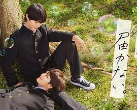 搜索引擎优化seo大体上包括